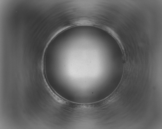 X0000072511195200607141124