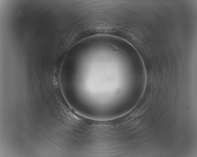 X0000072511202200607141123
