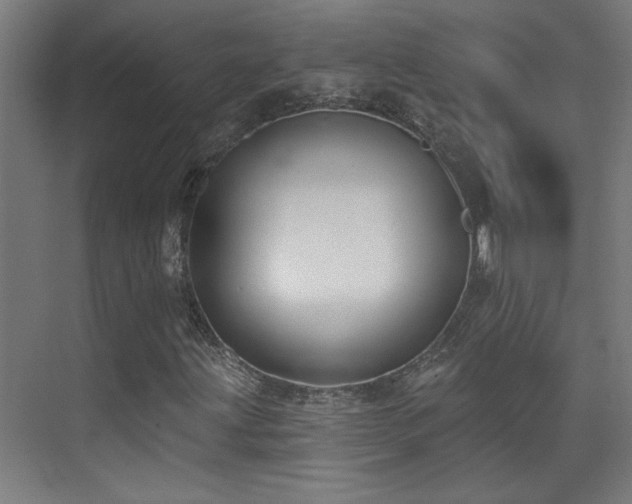 X0000072511203200607141123