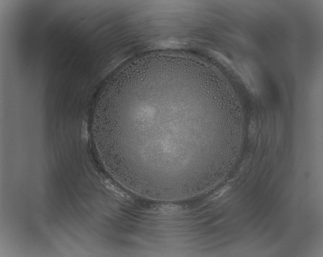 X0000072511209200607141123