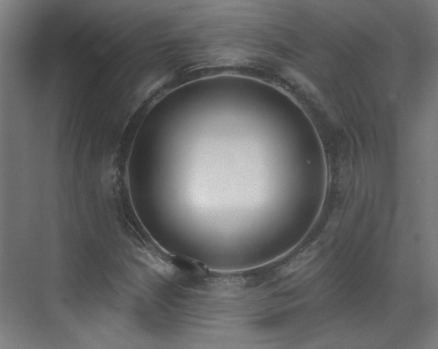 X0000072511210200607141123