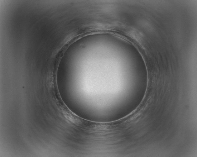 X0000072511211200607141123