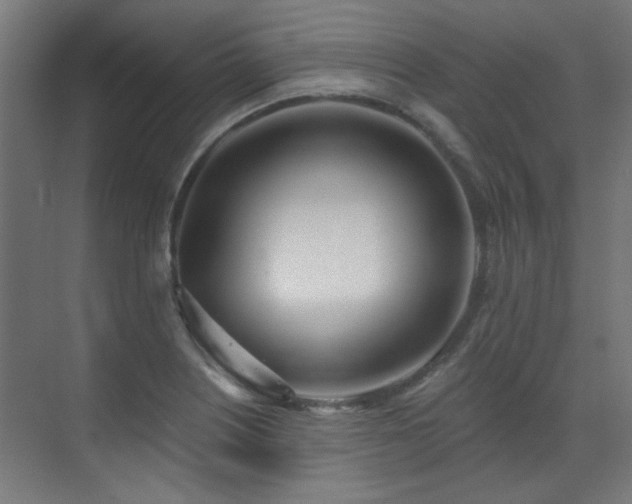 X0000072511226200607141123