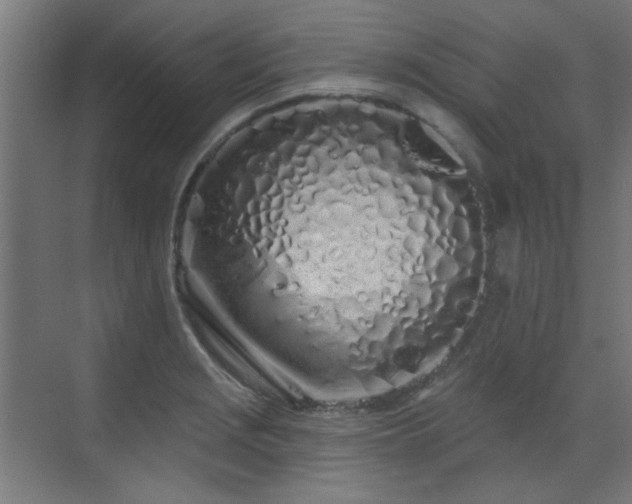 X0000072511229200607141123