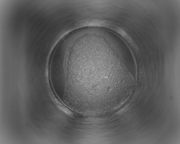 X0000072511232200607141123