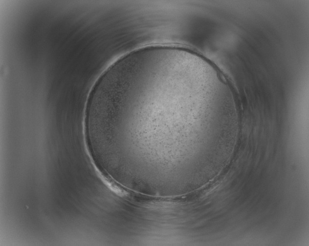 X0000072511237200607141124