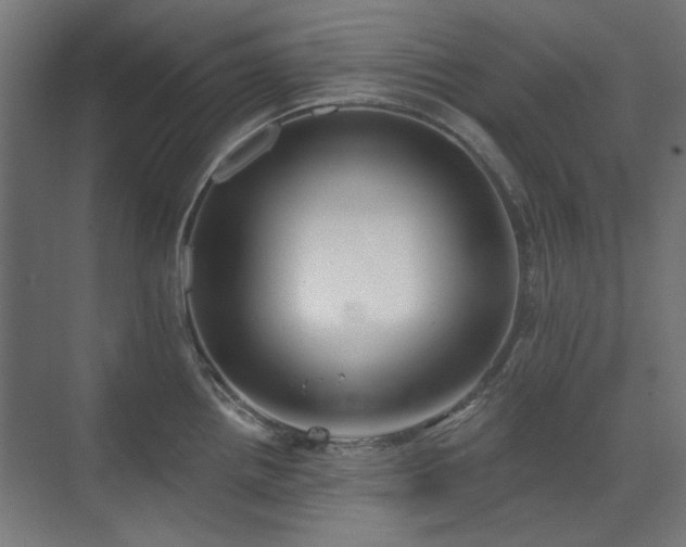 X0000072511242200607141124