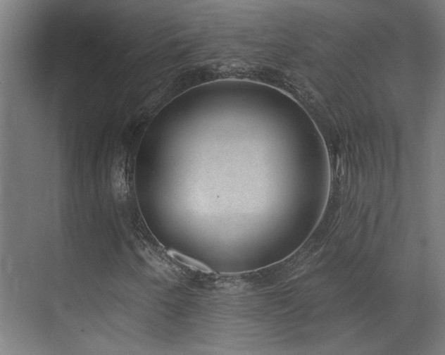X0000072511250200607141123