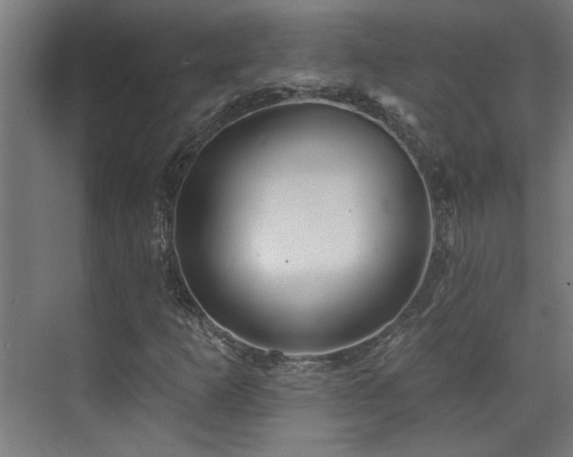 X0000072511253200607141123