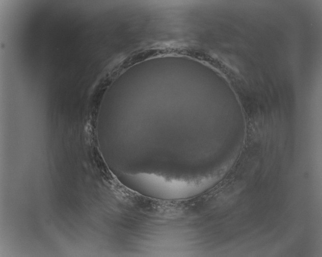 X0000072511254200607141123