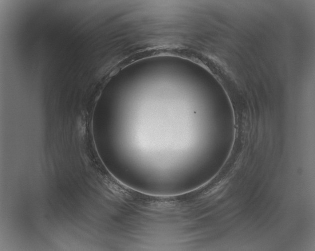 X0000072511257200607141123