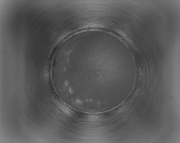 X0000072511266200607141123
