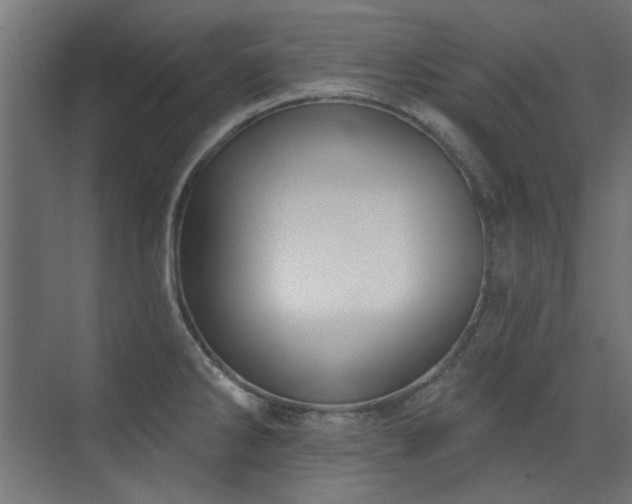 X0000072511286200607141122
