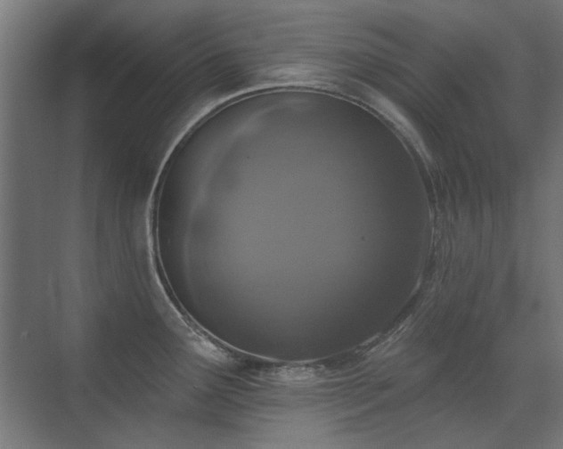 X0000072511291200607141122