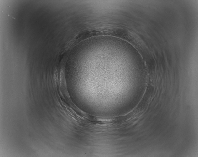 X0000072511298200607141121