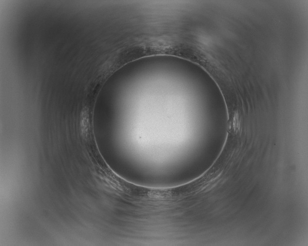 X0000072511299200607141121