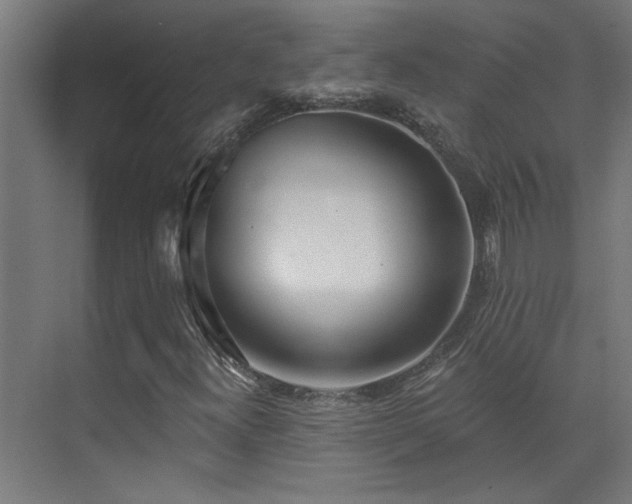 X0000072511300200607141121