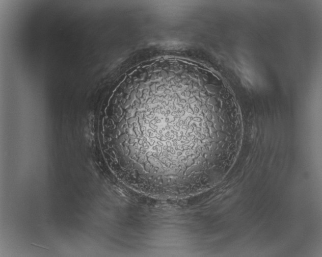 X0000072511301200607141121