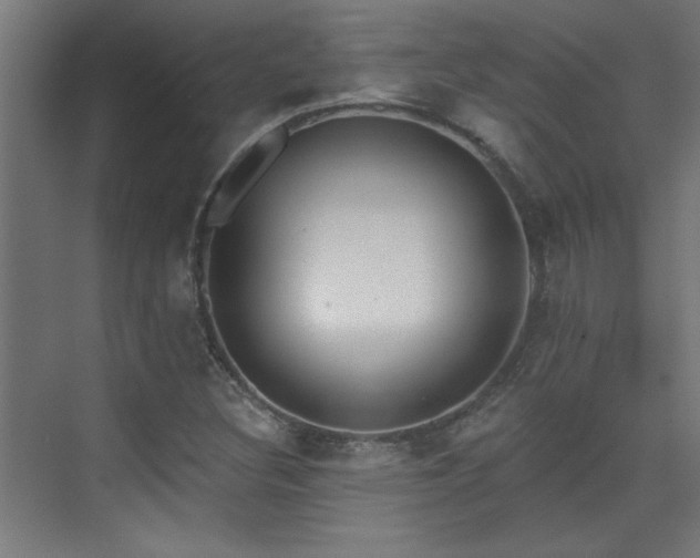 X0000072511308200607141122