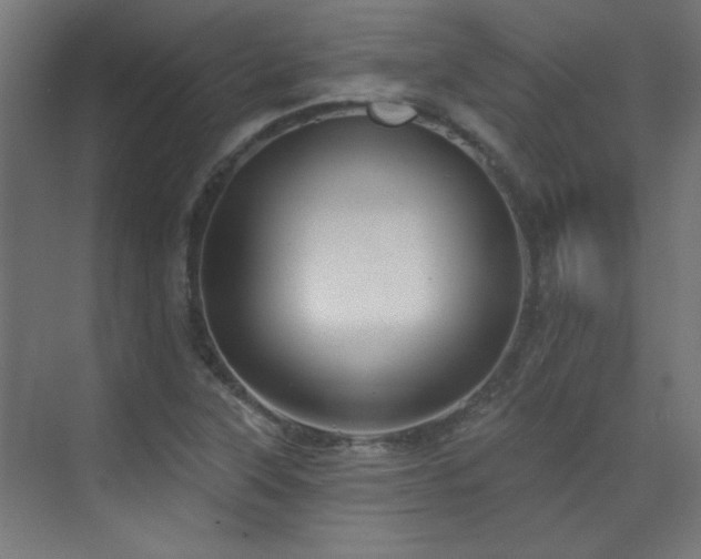 X0000072511315200607141122