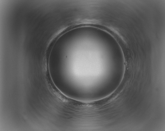X0000072511317200607141122