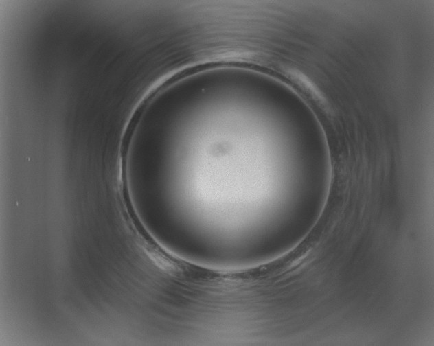 X0000072511324200607141122