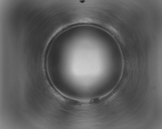 X0000072511326200607141122