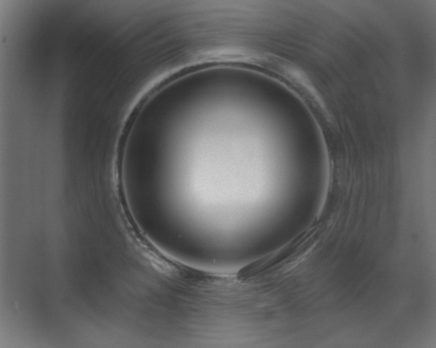 X0000072511328200607141122