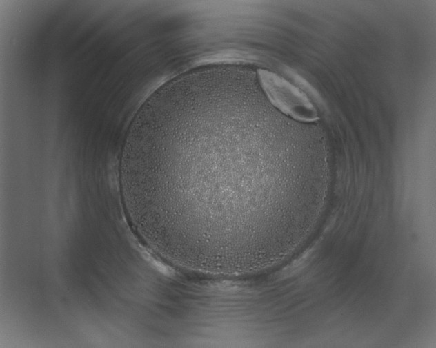 X0000072511329200607141122