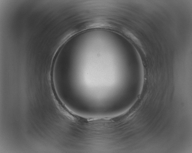 X0000072511330200607141122