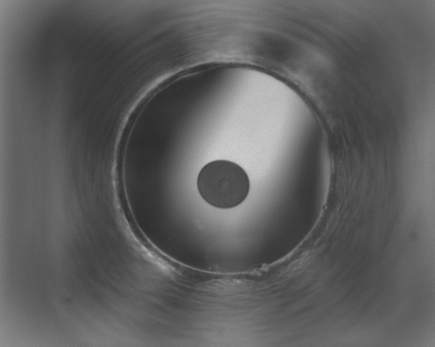 X0000072511331200607141122