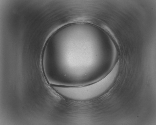 X0000072511336200607141122