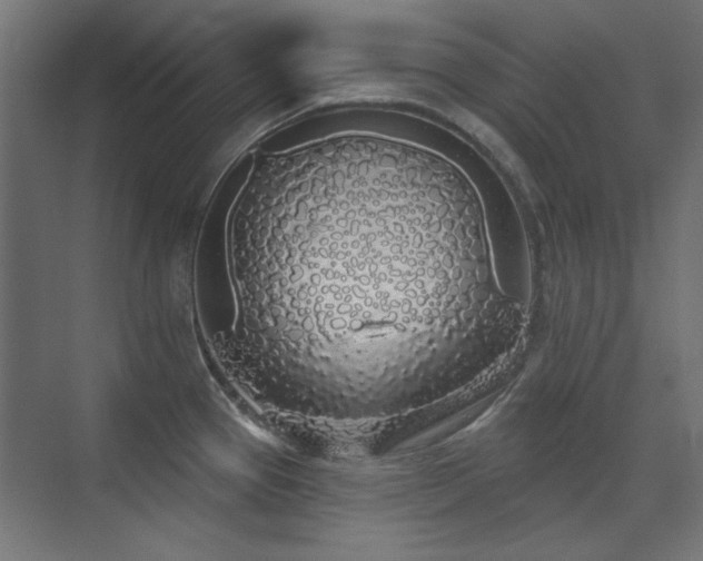X0000072511337200607141122