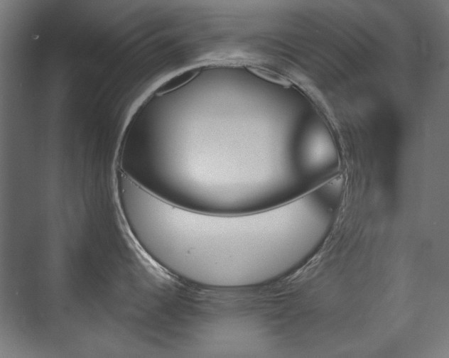 X0000072511344200607141122