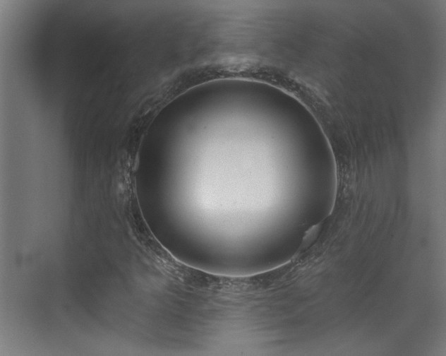 X0000072511349200607141121