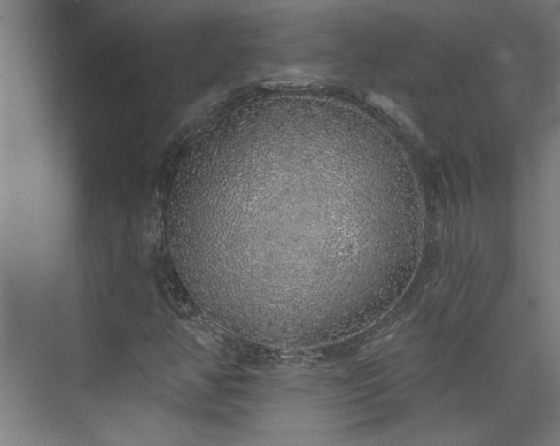 X0000072511350200607141121