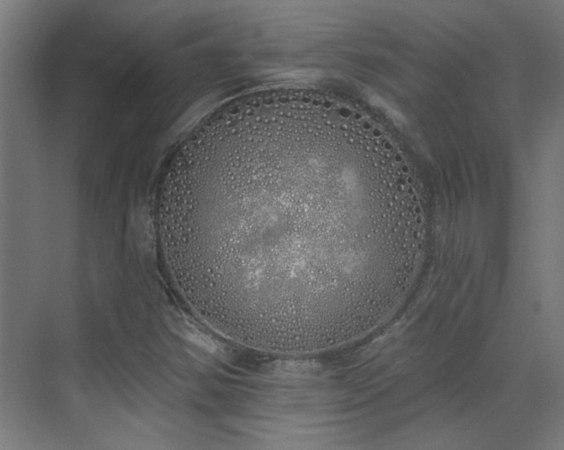 X0000072511354200607141121
