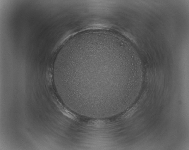 X0000072511355200607141121