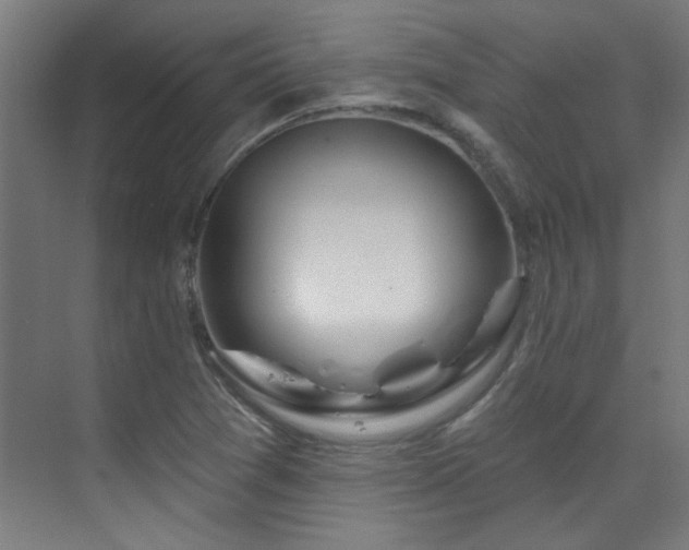 X0000072511361200607141121
