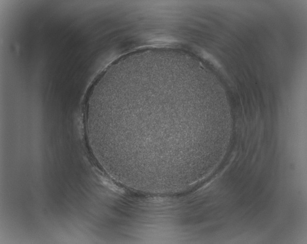 X0000072511362200607141121