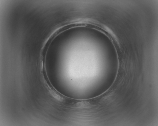 X0000072511368200607141121