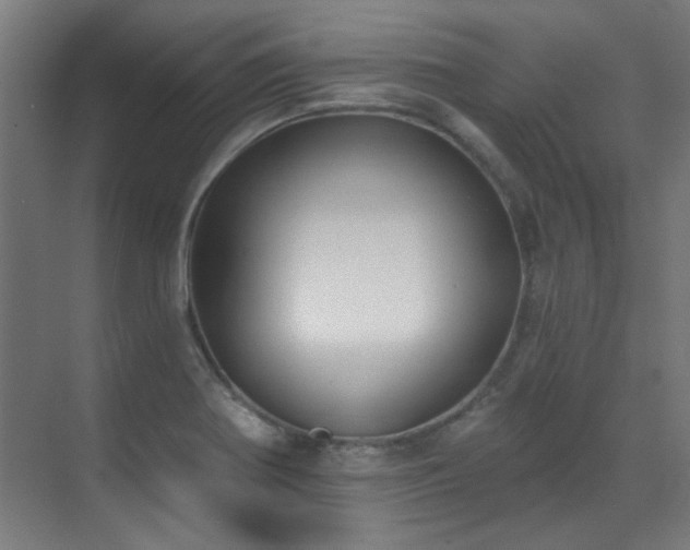 X0000072511370200607141121