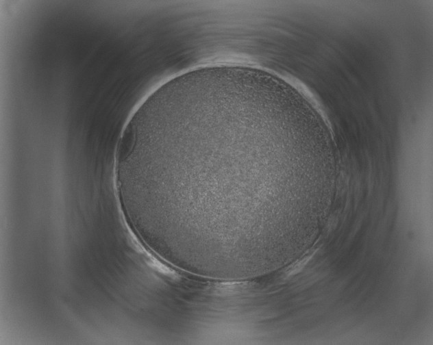 X0000072511390200607141121