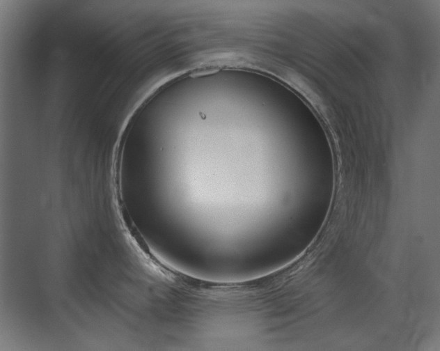 X0000072511392200607141121