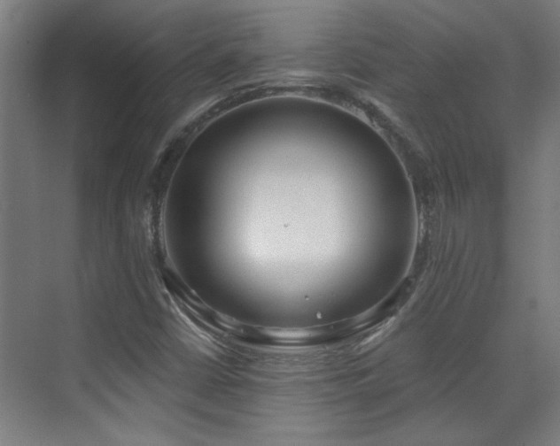 X0000072511402200607141120