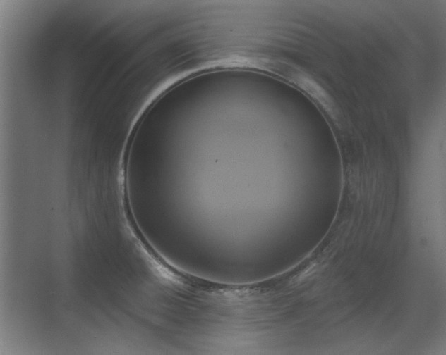 X0000072511428200607141120
