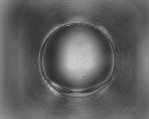 X0000072511438200607141120