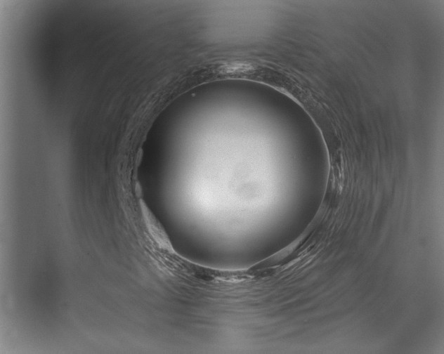X0000072511441200607141120