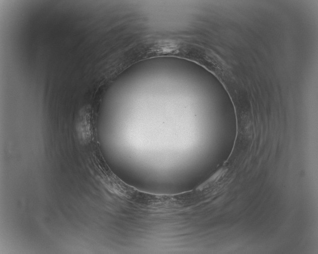 X0000072511442200607141120