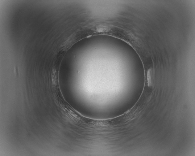 X0000072511443200607141120